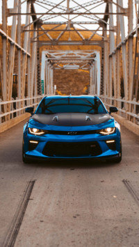 Cars and Bikes (2)