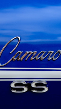 Cars and Bikes (12)