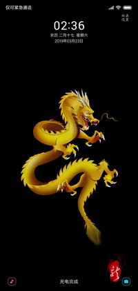 黄金龙
