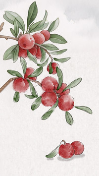 Eat less chilled bayberries