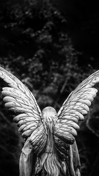 VCG41N471905149