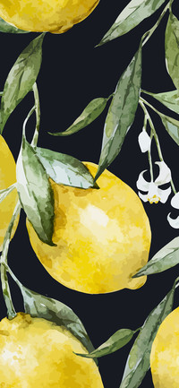 Colorful Fruit-PAIXIN