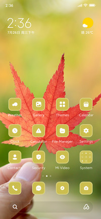 Autumn