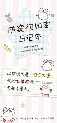 防窥视加密日记体