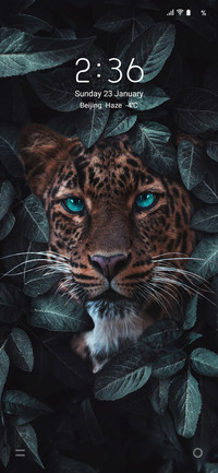 ANIMAL [WORLD]