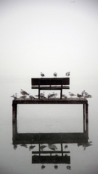 Black and White Photography Art