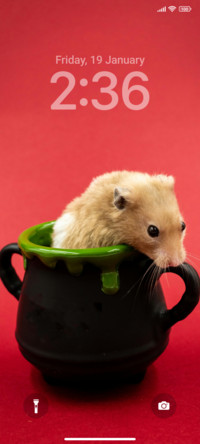 Hamster R