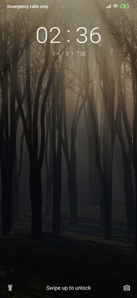 CreepyForest_3MDS