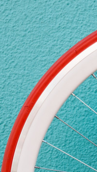Bicycle (14)