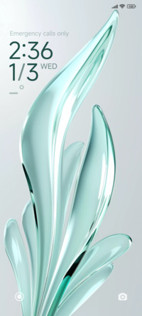 Glass blade