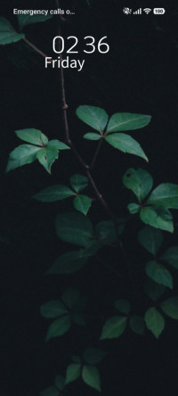 Emerald Void