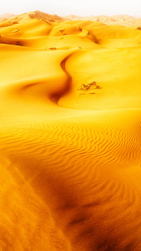 Pure desert