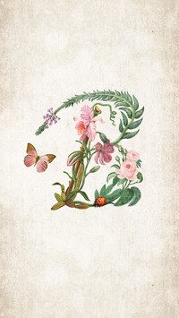 Bsen插画作品