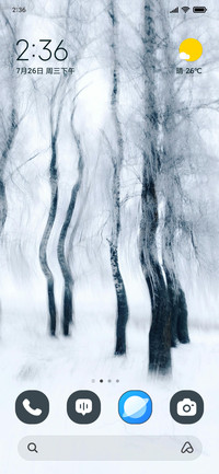 Frozen Moonlit