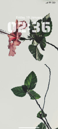 Sweet Leaf