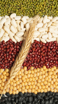 Foods that can replace staple foods 56