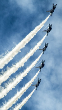 Aerial Predators (10)