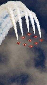 Aerial Predators (13)