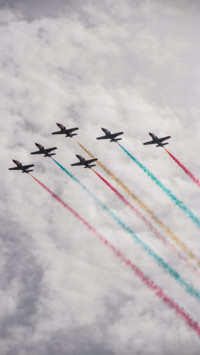 Aerial Predators (5)