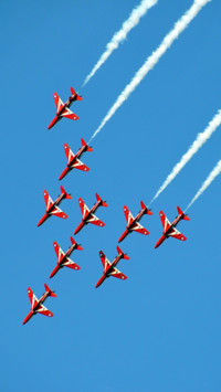 Aerial Predators (7)