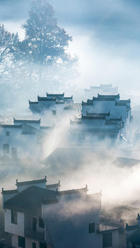 二月旅游好去处