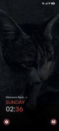 Shadow Cat