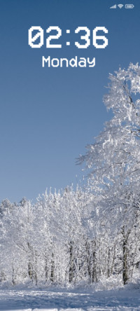 Snowfall