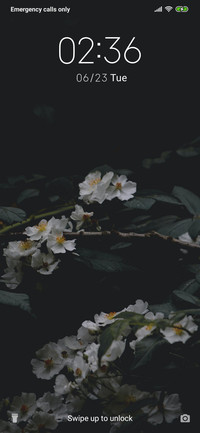 White Flower_3MDS