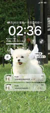 小狗奔向你ins