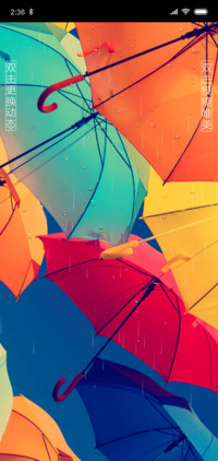 彩伞飘雨