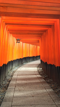 鸟居步道