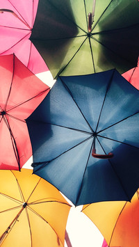Umbrella story (15)