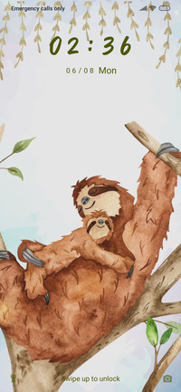 Sloth_3MDP