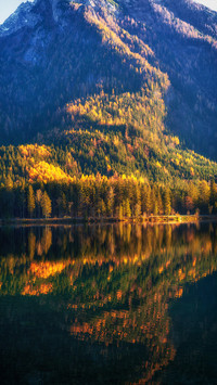 Lake in autumn