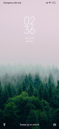 Forest_3MDS