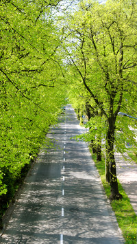 Spring is here