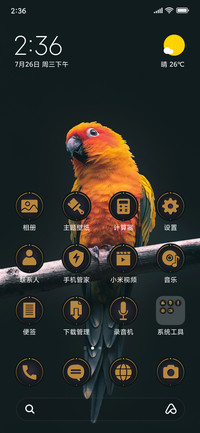Yellow Macaw_3MDP