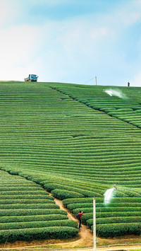 Working in the fields