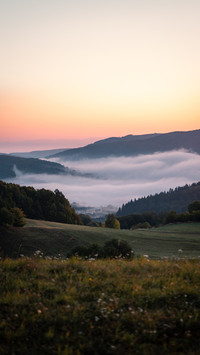 View on fog engulfs the forest during sunrise