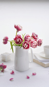 We gradually fall in love with flowers