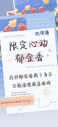 限定心动郁金香