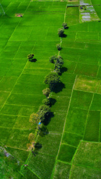 DJI_0087-16