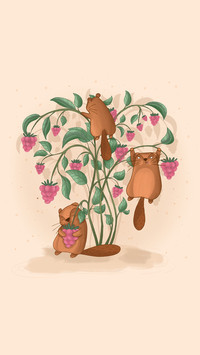 Cute beavers pick pink raspberries