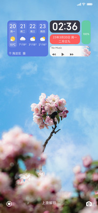 花枝招展