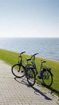 international_bicycle