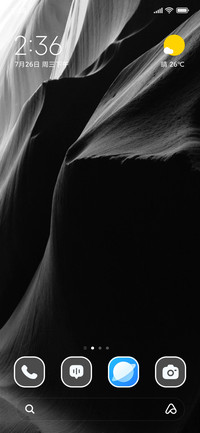 Grayscale View