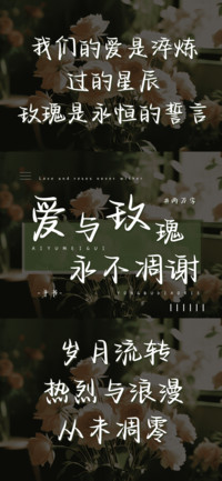 爱与玫瑰永不凋谢