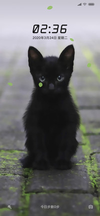 小黑猫