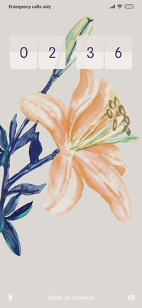 Lily_3MDP