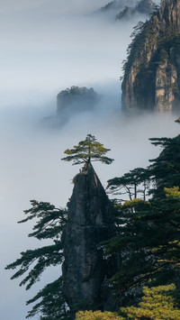 云中仙境 人间胜景